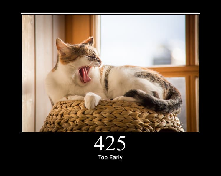 Error 425