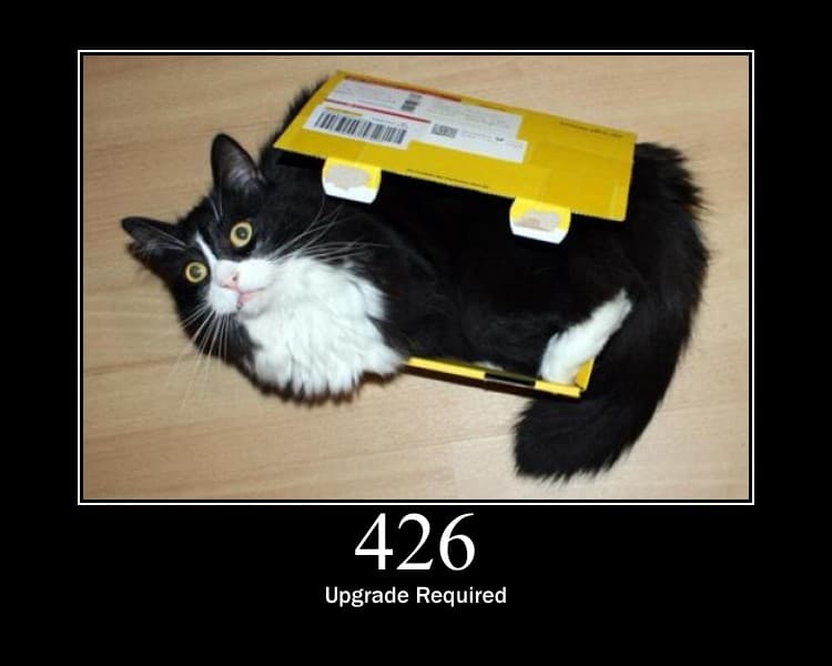 Error 426